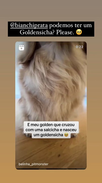 Maria Botelho Moniz pedido