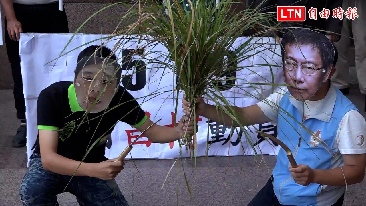 反制519遊行 台灣國上演「割小草」行動劇諷柯文哲、黃國昌