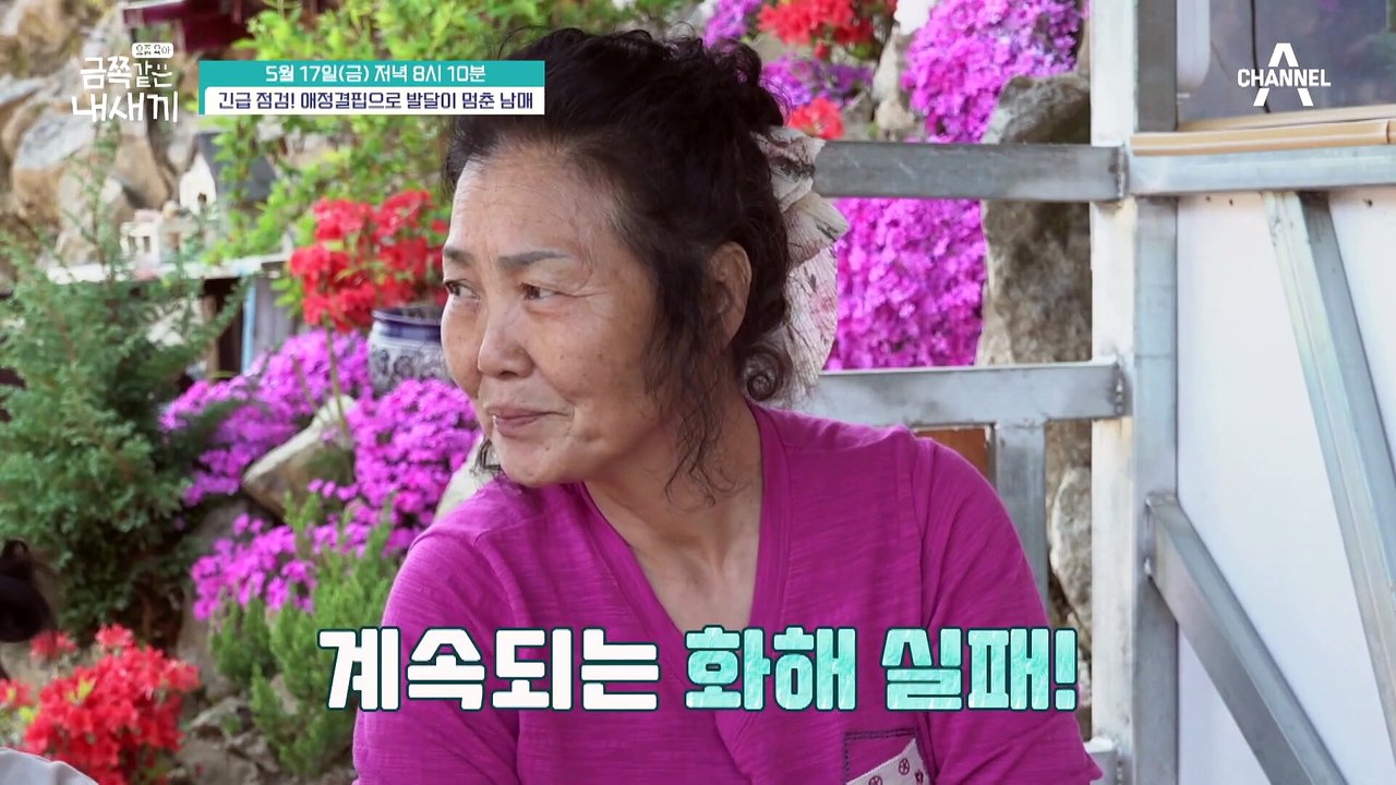 [선공개] 제대로 읽지 못하는 금쪽이 오빠! 새로운 문제 발견! 금쪽이 오빠에게도 어려움이?!