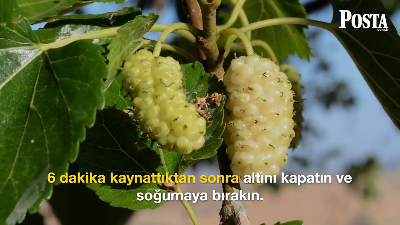 Egzamayı unutturan besin! Pul pul dökülmeyi anında bitiriyor