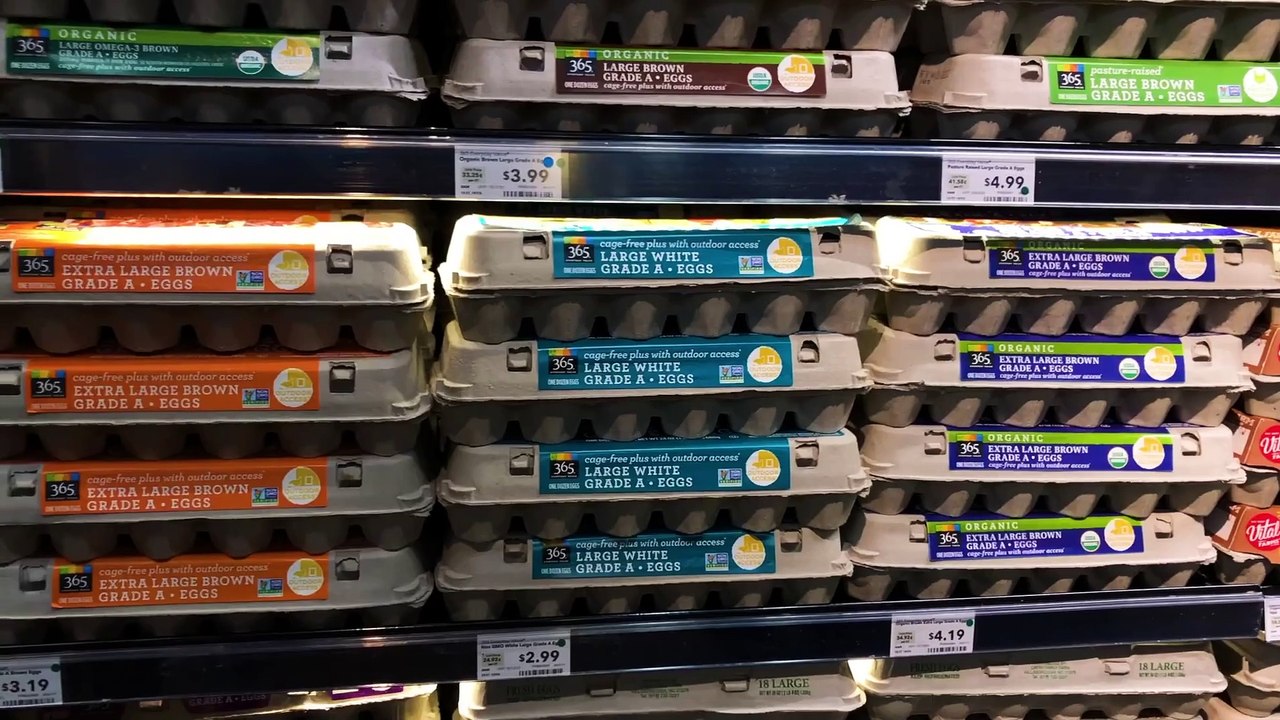 How worried should we be about bird flu?