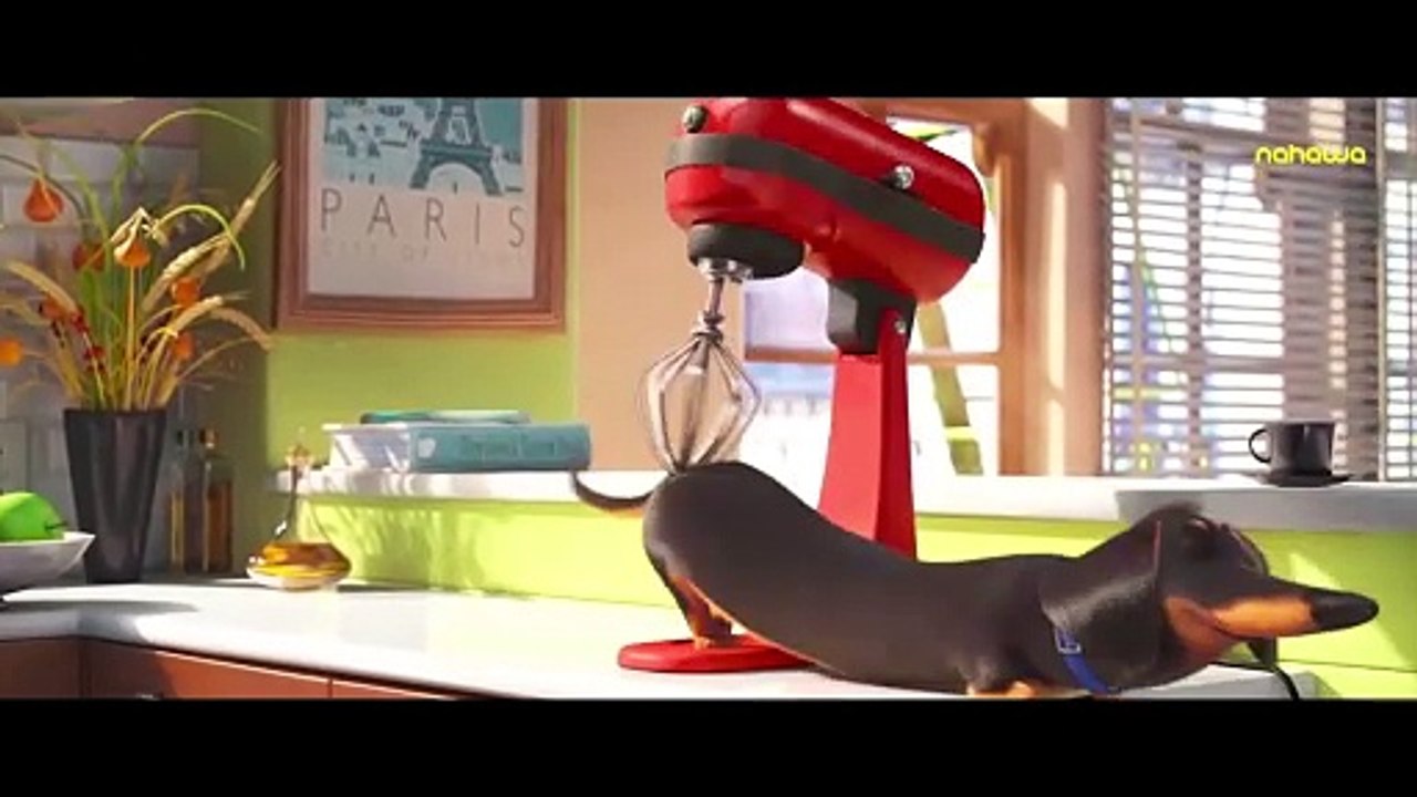 Top 5 Highest Grossing Films of 2016 - Box Office Triumphs