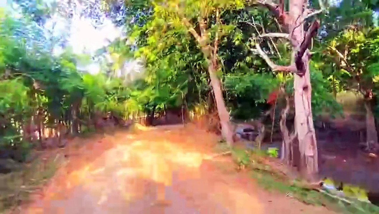 Cinematic Desa di Jogja 🎬