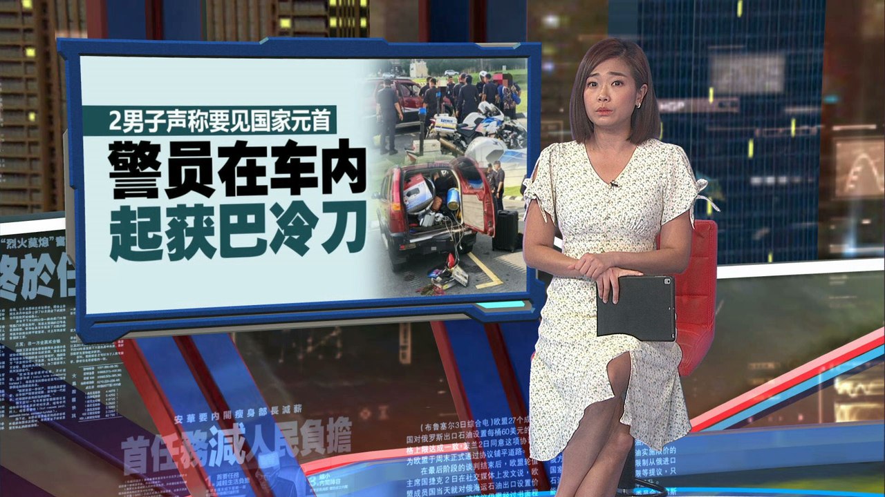 2男子试图持刀闯国家王宫   在王宫门口遭警员拦下