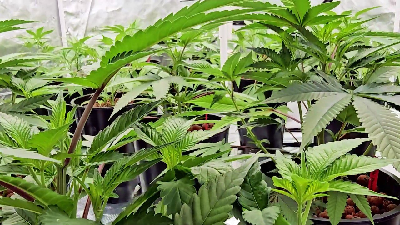 'Mary Jane,' dokumentaryo ni Atom Araullo | I-Witness