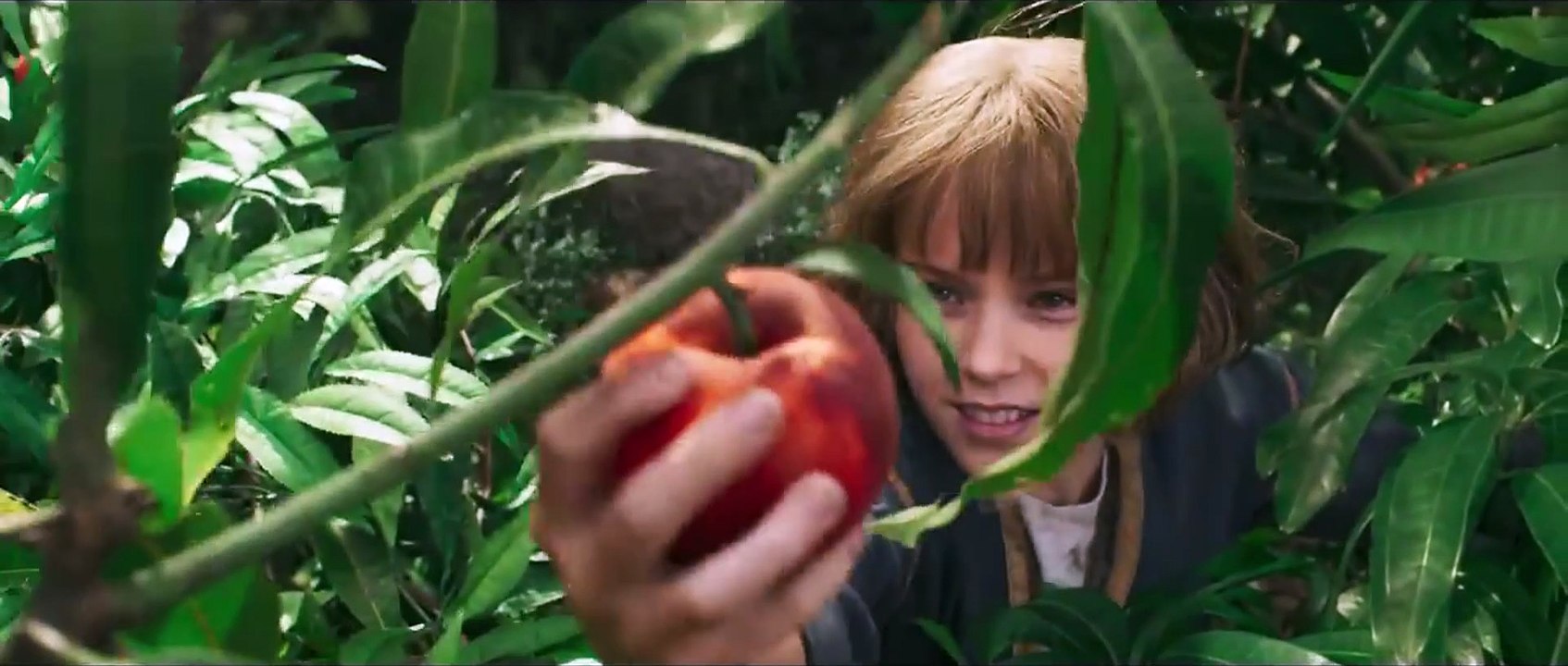 [.WATCH.] #Furiosa A Mad Max Saga ~(FuLLMovie)~2024