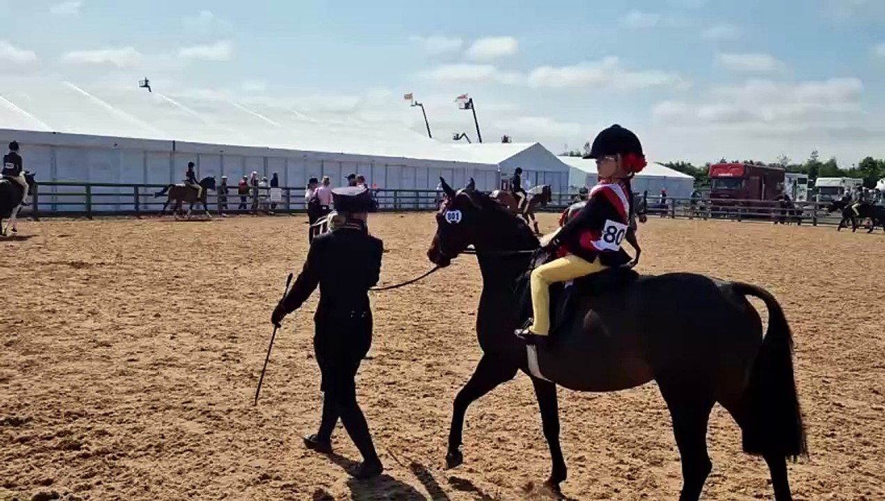 Warm up arena at Balmoral Show