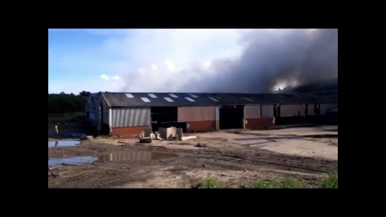 Six sentenced for multiple waste offences