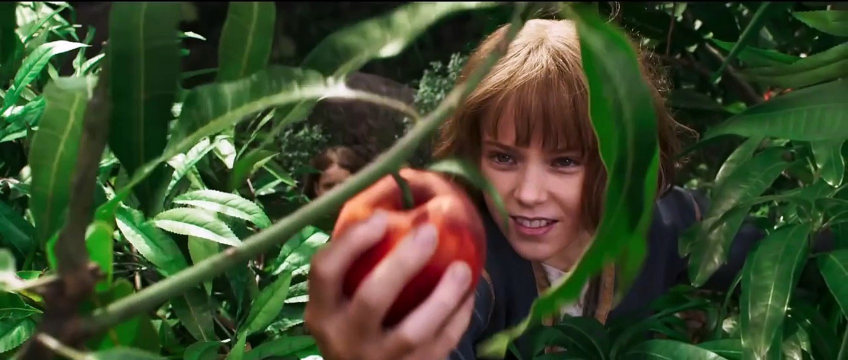 Furiosa: La Nueva Aventura de Mad Max (2024) – Tráiler Oficial 🚗