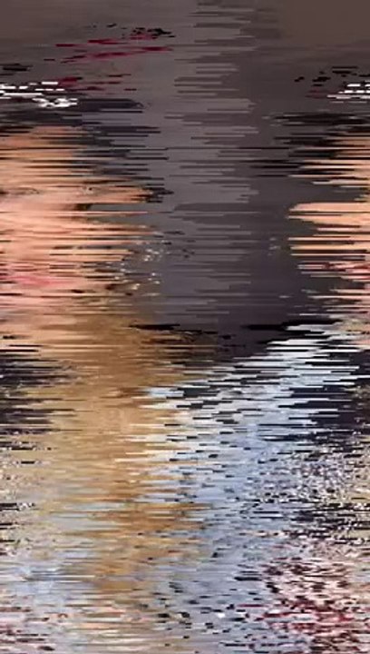 A handbag for girl avaible in all size and color