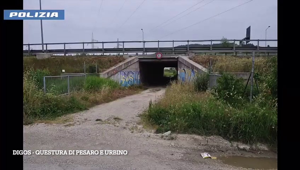 Tifoso Vis Identificato: Scopri di più sulla sua identità