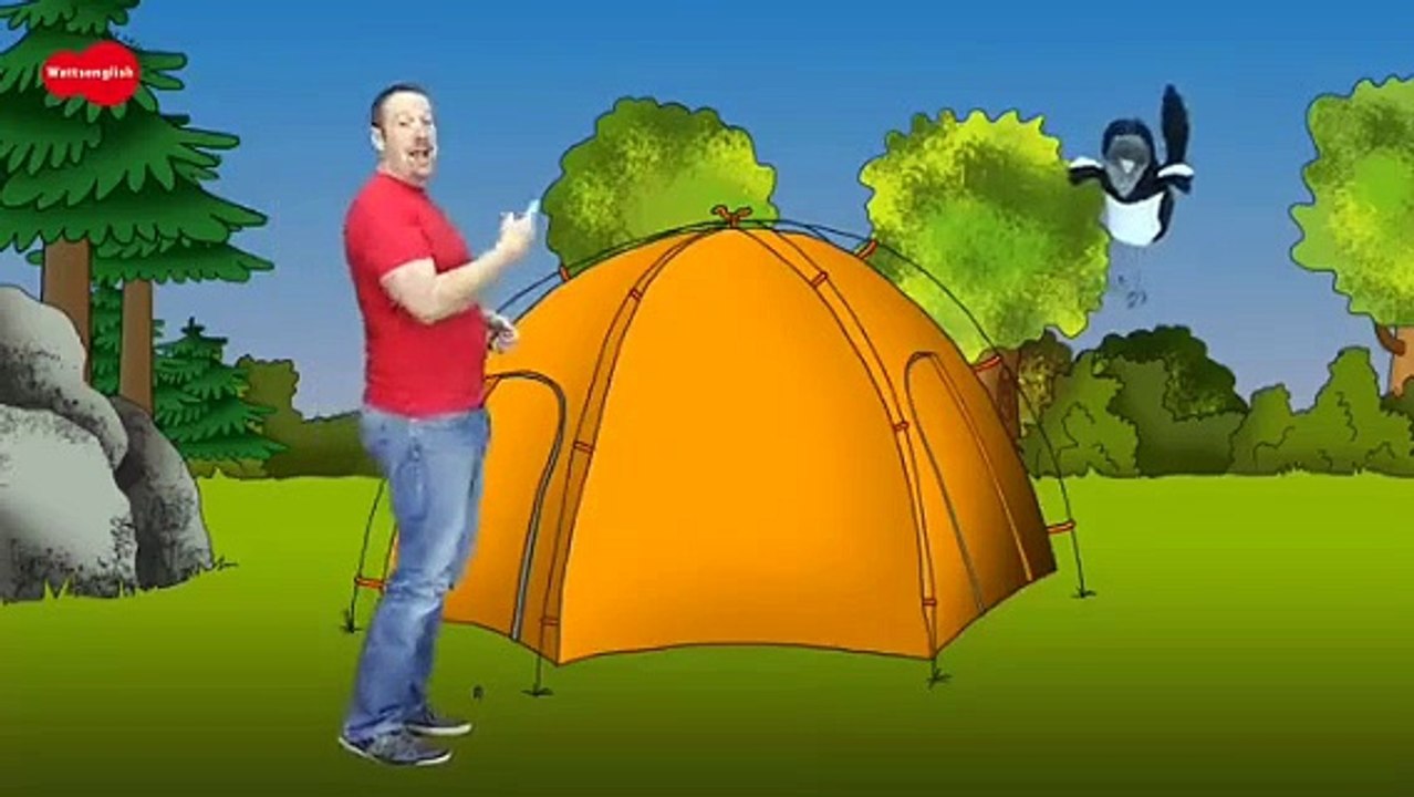 Animal Magic with Steve And Maggie | English Stories for Kids