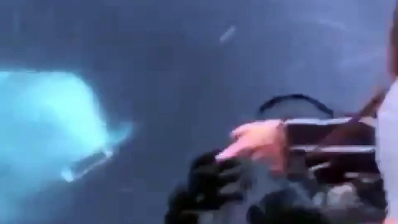 Baleia 'salva' celular que caiu no mar e devolve ao dono