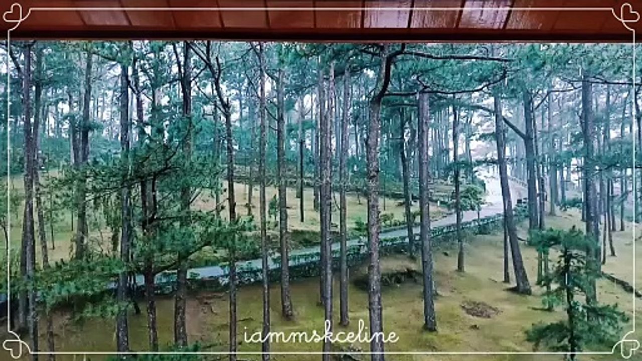 POV: You Miss This Vibe ️☔