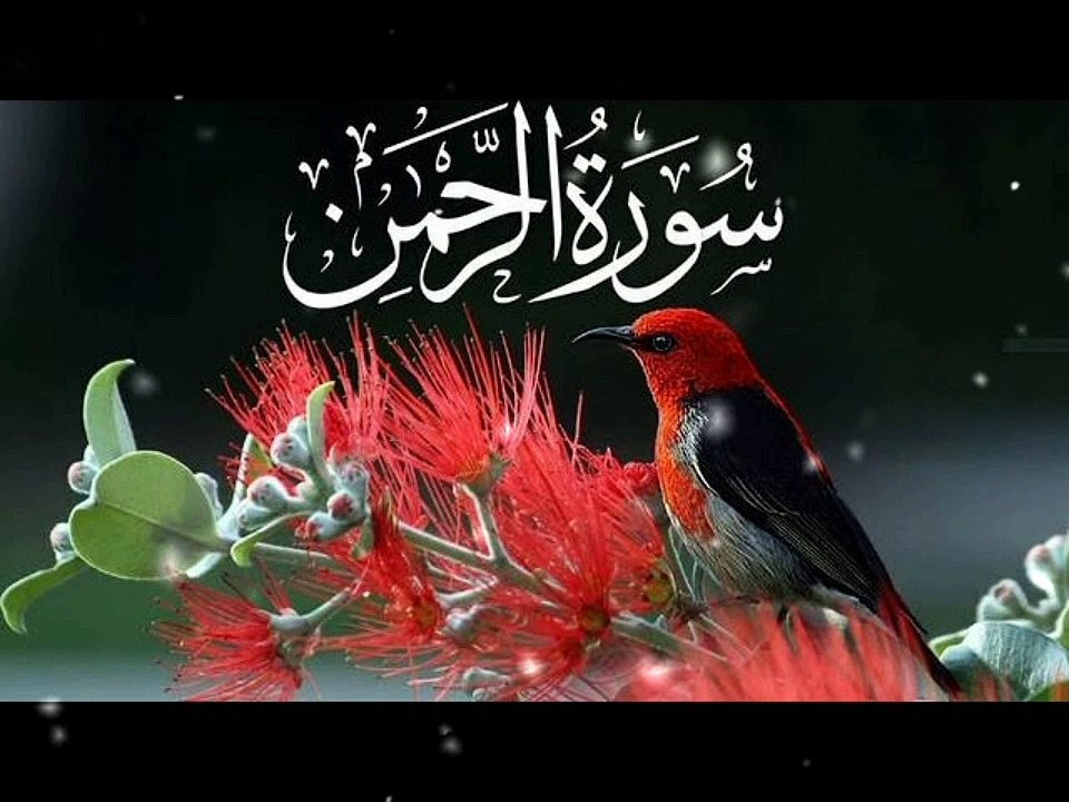 surah rahman | surah rahman beautiful voice | surah rahman ki tilawat
