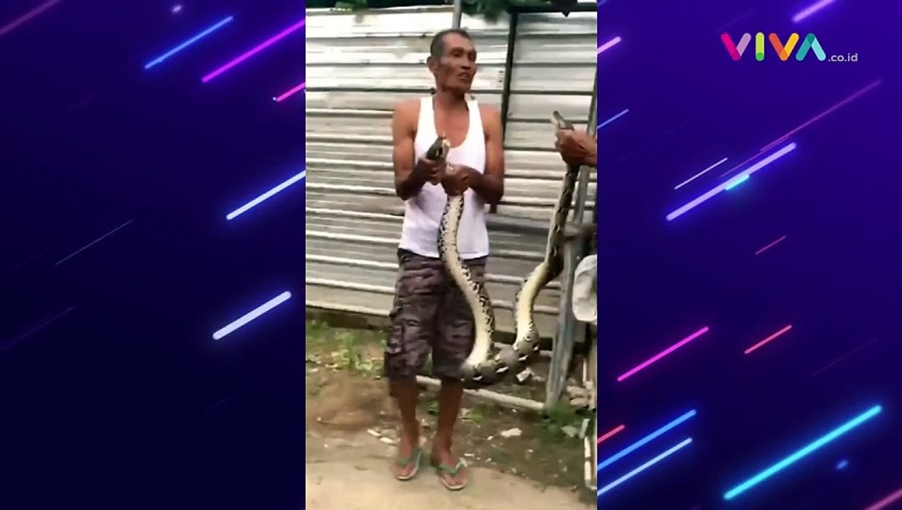 MISTIS! Kemunculan Ular Langka Kepala 2 Depan dan Belakang