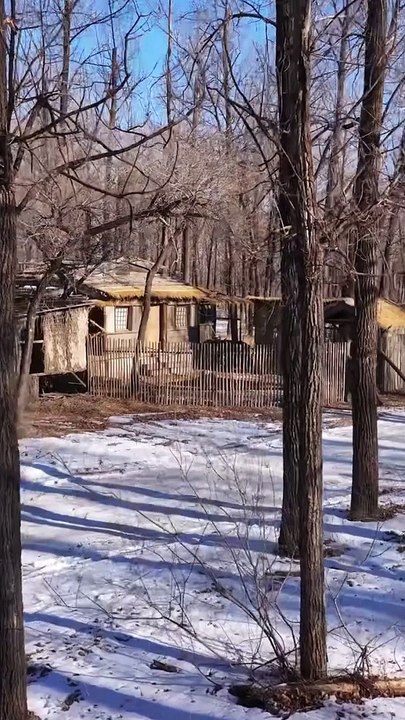 抖音新剧上线 #医绝仙帝纵横都市（上）