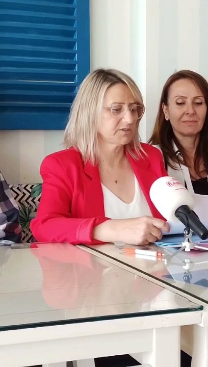 Handan Yılmazer basın açıklaması