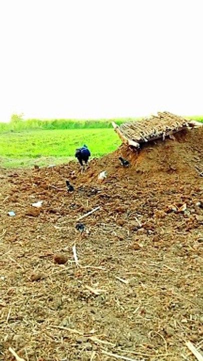 Cute Baby Enjoying Cute Baby 