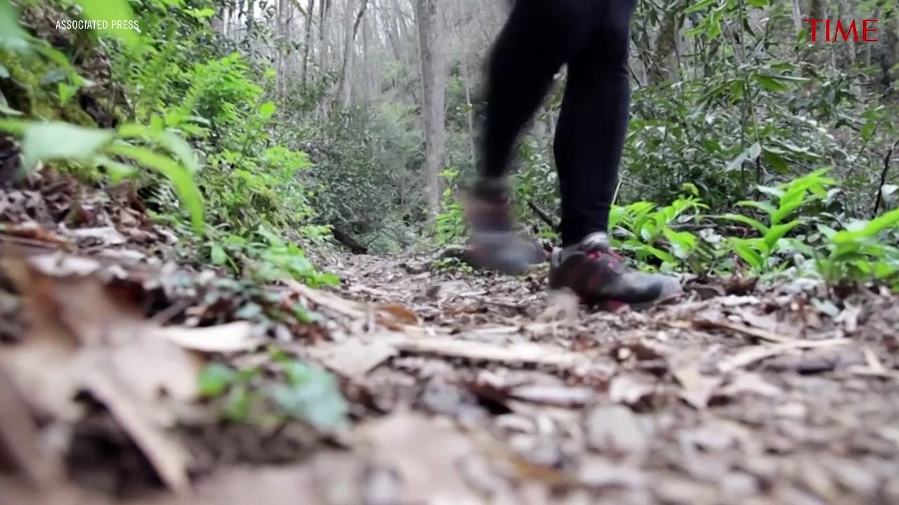 How To Protect Yourself Against Ticks