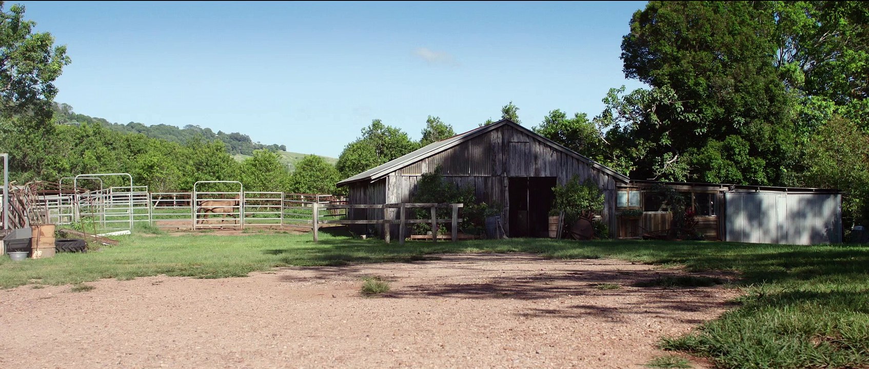 TAKE MY HAND Movie (2024) - Radha Mitchell, Adam Demos, Bart Edwards