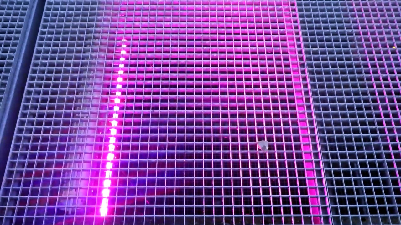 2024-05-04 Velperwaarden At Dawn