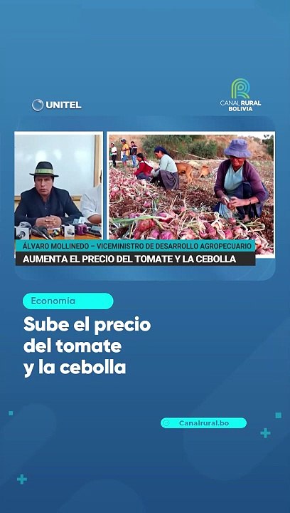 Sube el precio del tomate y la cebolla