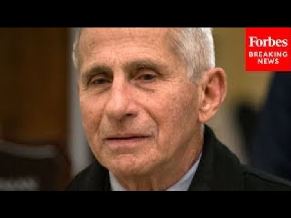 ‘Flawed Both Conceptually & In Practice’: Dr. Fauci Shreds The Great Barrington Declaration