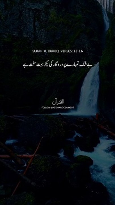 Quran translation in Urdu|Urdu Quran|