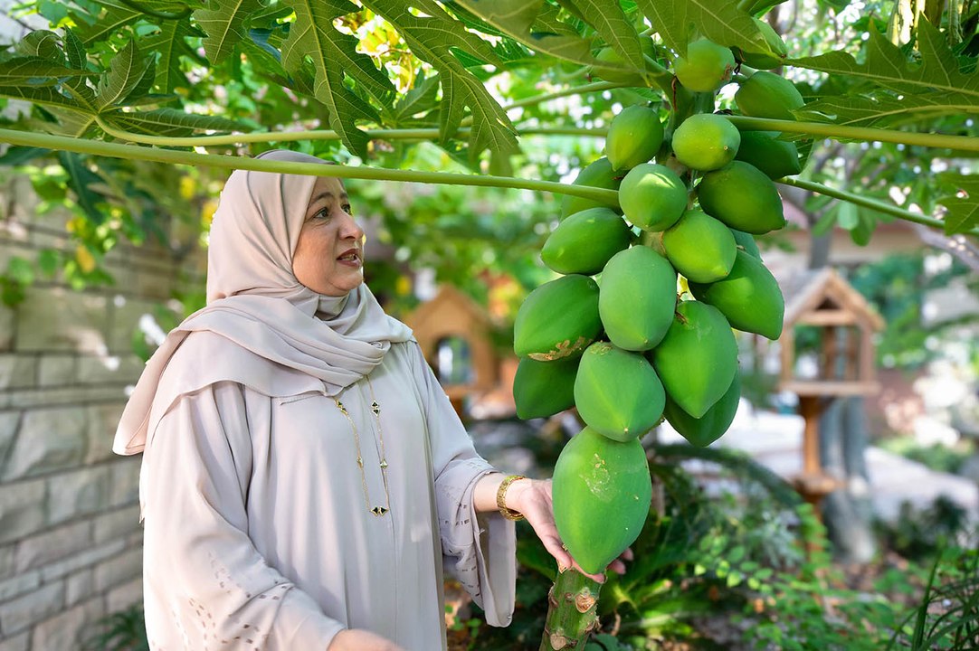 From home garden to award-winning farm: Dubai resident transforms home into oasis