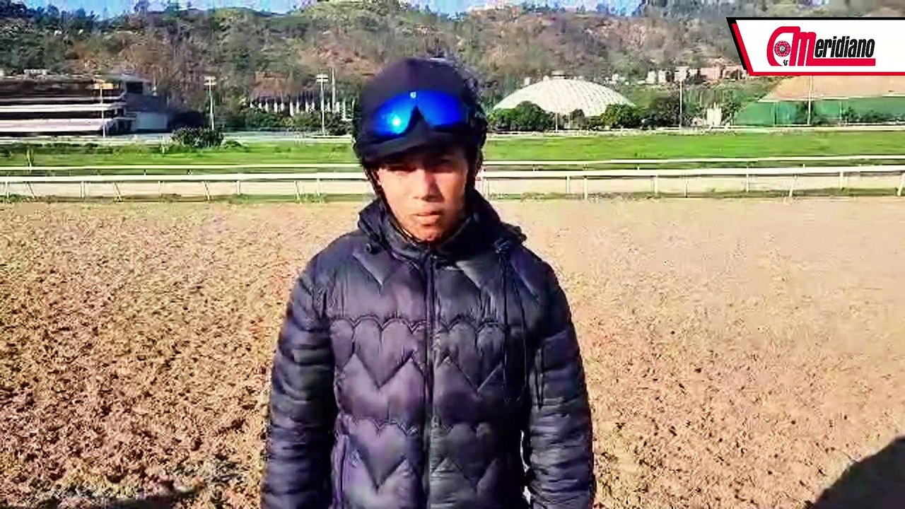 HIPISMO: Hermirxon Medina - Jinete