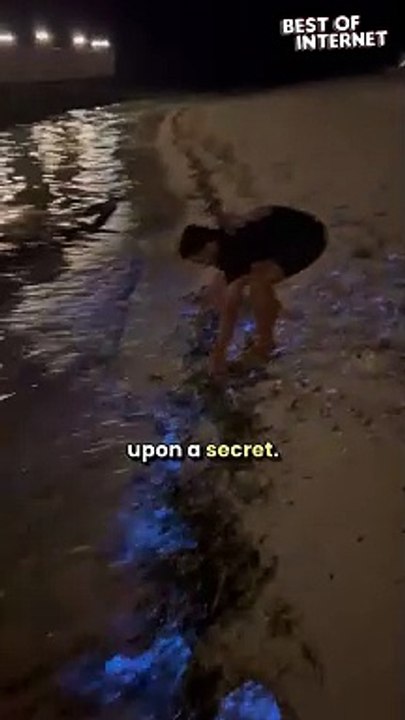 Man Discovers Glowing Plankton & Creates Magic