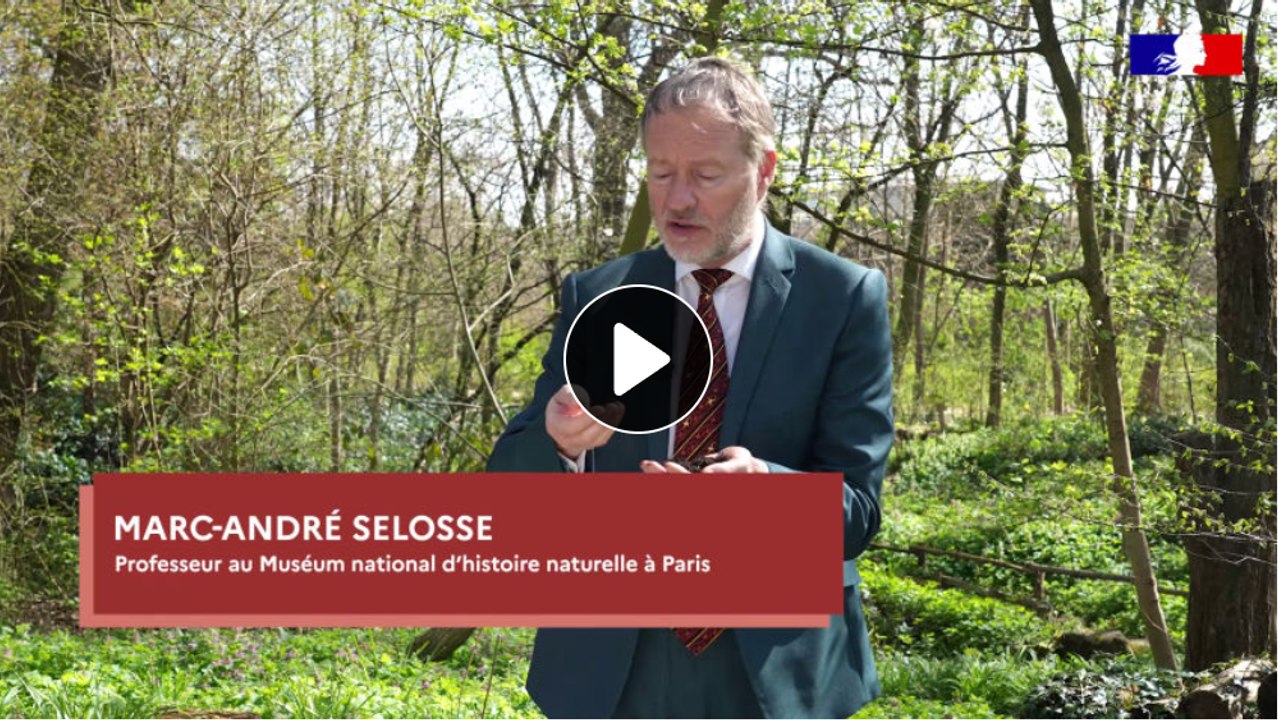 [Mooc ZAN] Les fonctions écologiques des sols