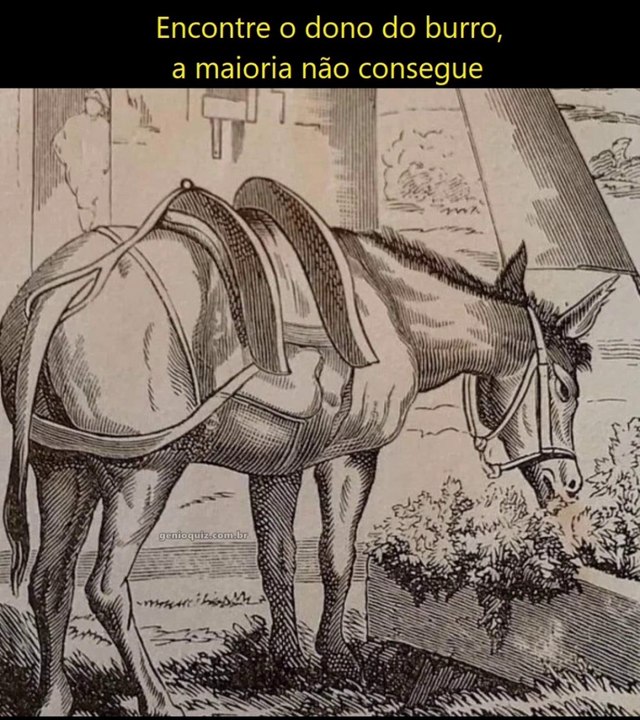 Descubra o Mistério: Onde Está o Dono do Burro?