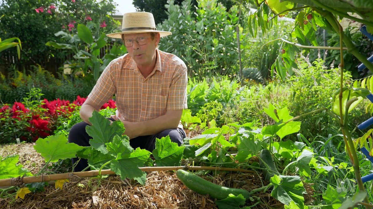 Gardening Australia 2024 episode 19