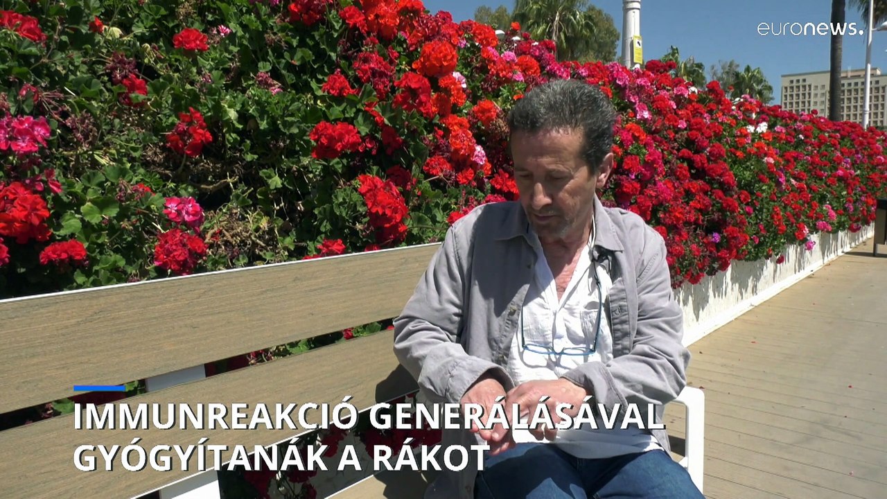 A rákos sejtek ellen fordítanák immunrendszerünket spanyol kutatók