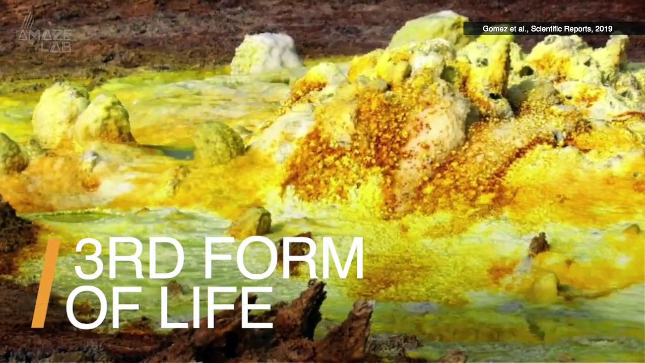 Scientists Discover 3rd Form of Life Can Produce Hydrogen in World First