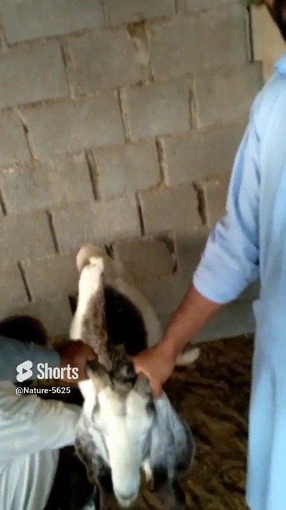 Welcome to My ViralShort Channel 🎥