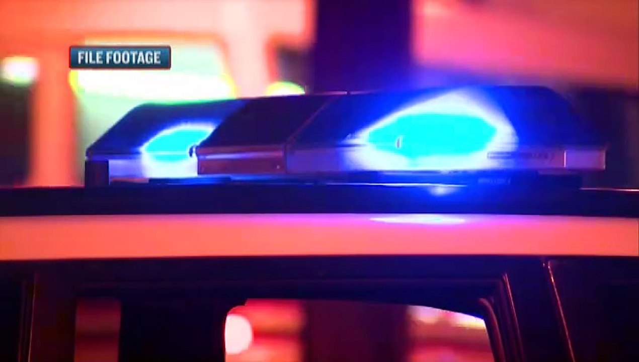 7 Seven Arrested in Major Gang-Related Crackdown 🚓