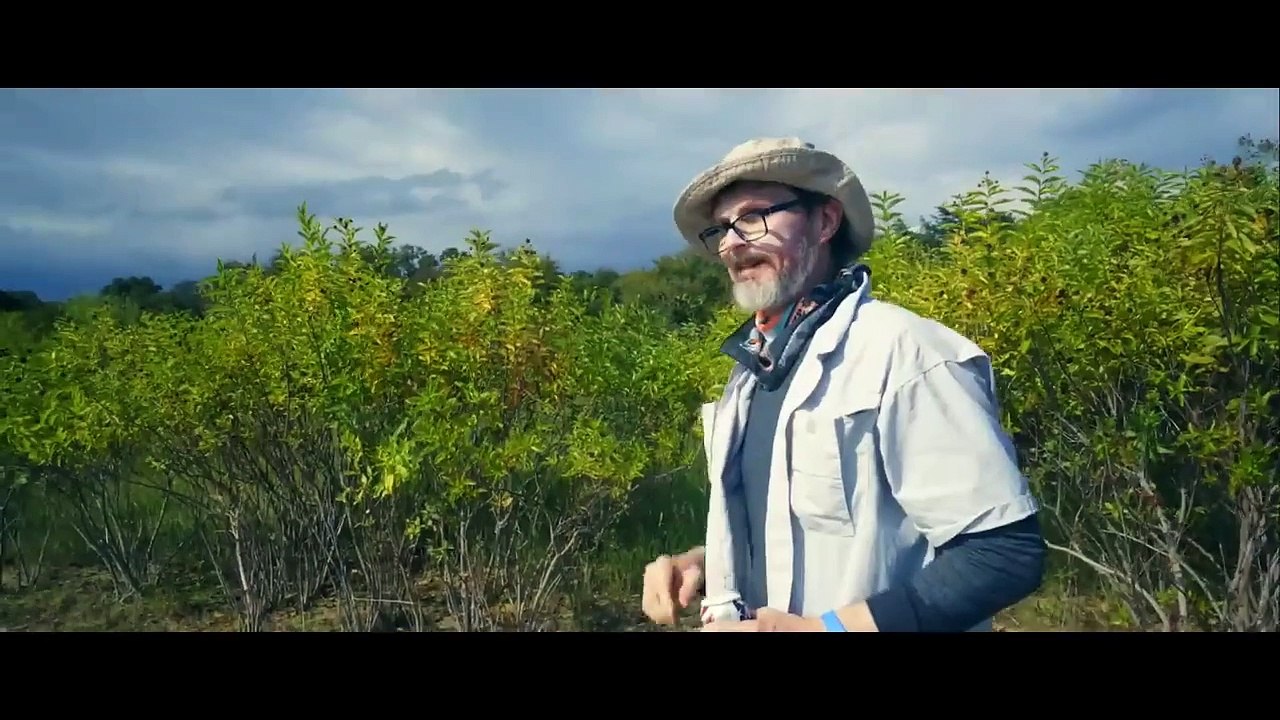 Bull Shark _ Full Movie _ Action Horror _ Killer Shark!