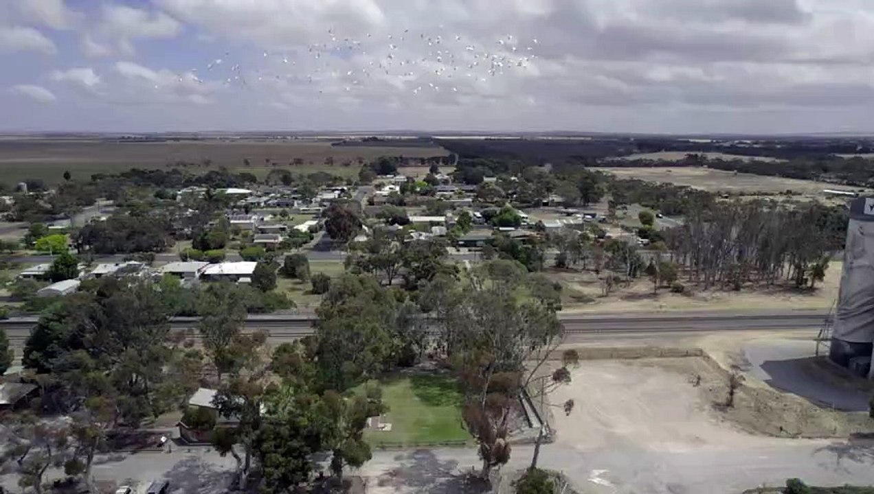 Coonalpyn Silo Art by Artist Guido van Helten  | Drone Flyover | #siloarttrail #southaustralia