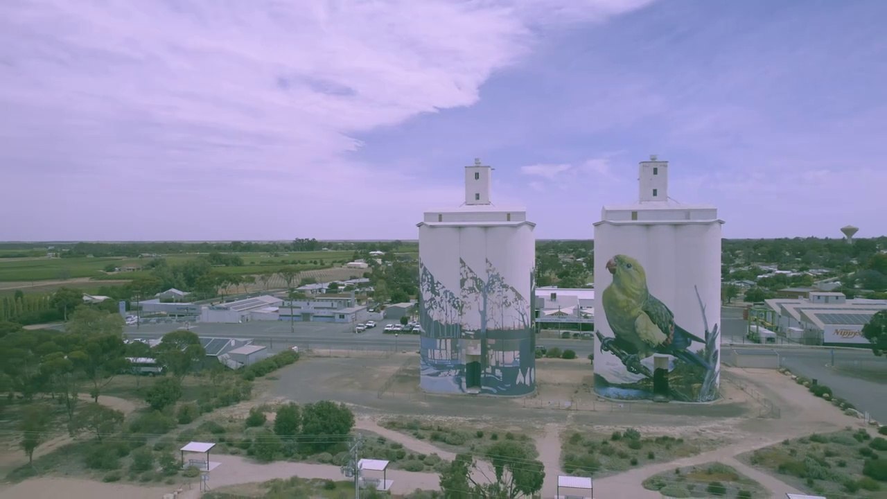 Waikerie SiloArt by Artists  Jimmy Dvate & Garry Duncan  | Drone Flyover | #siloart #southaustralia