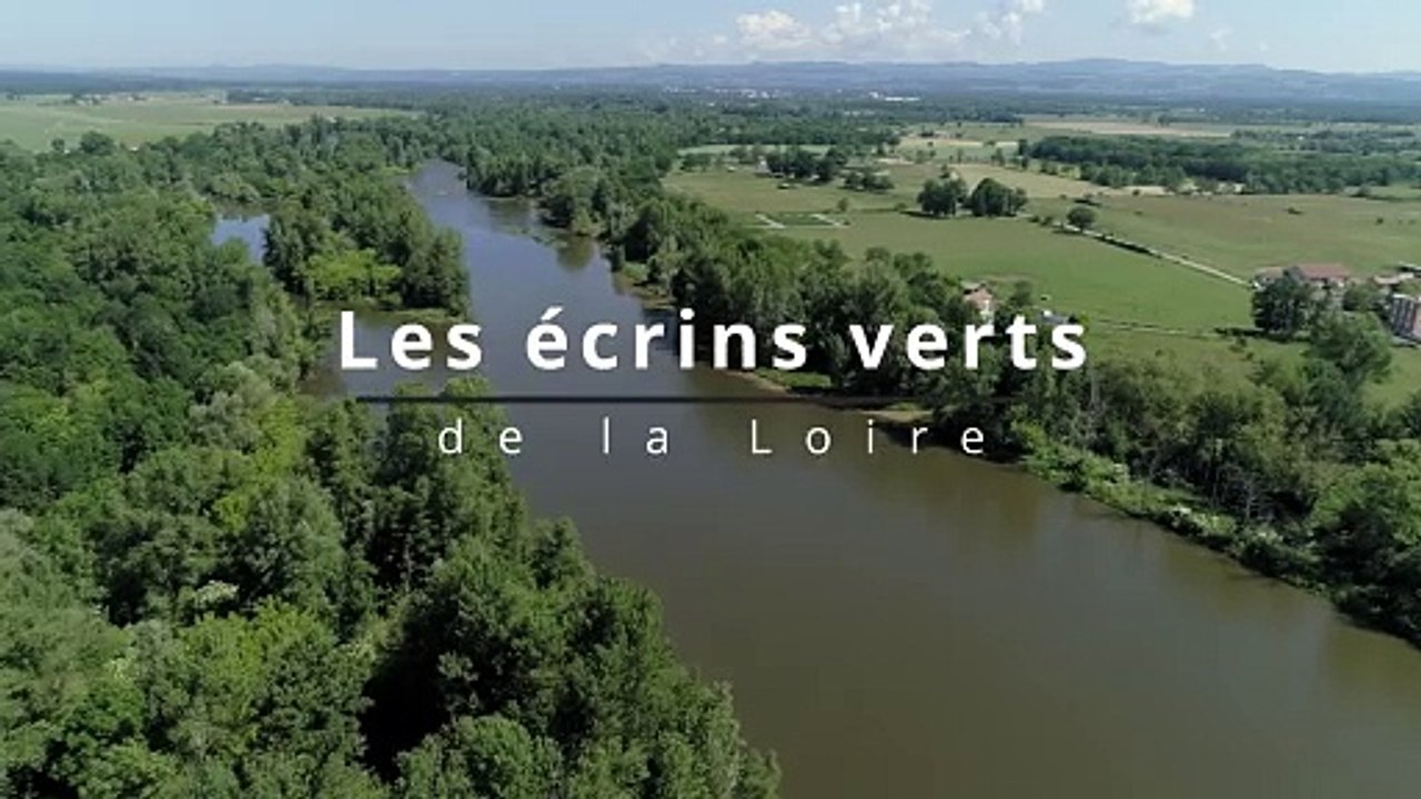 Les écrins verts de la Loire : Série documentaire TL7