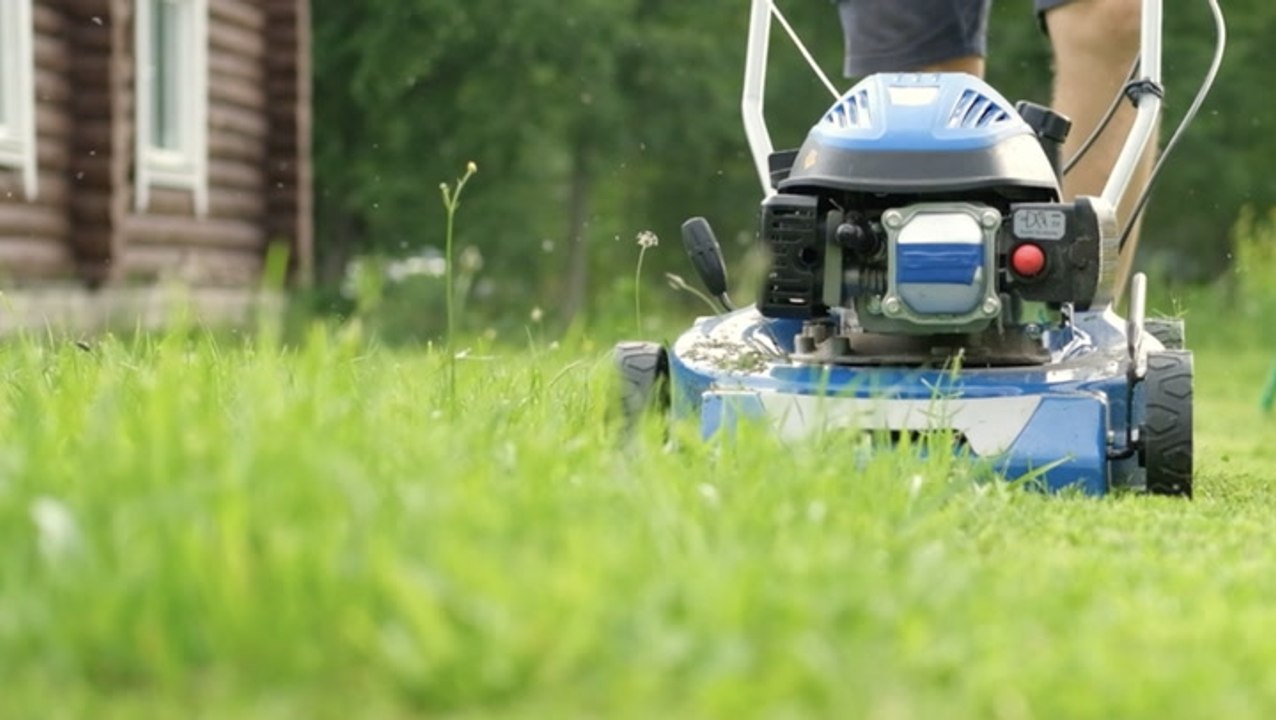 What Should You Do With Grass Clippings After Mowing Your Lawn? An Expert Weighs In