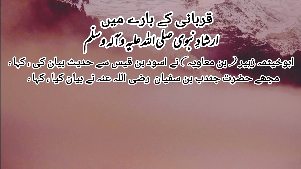 "Unlocking the secrets of qurbani:A comprehensive guide."