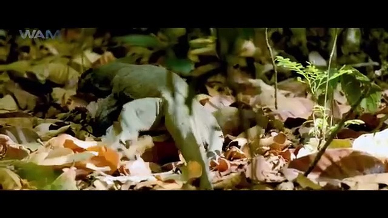 New Released South Indian Hindi Dubbed Movie 2024 | South Dubbed Movie | South Movie 2024