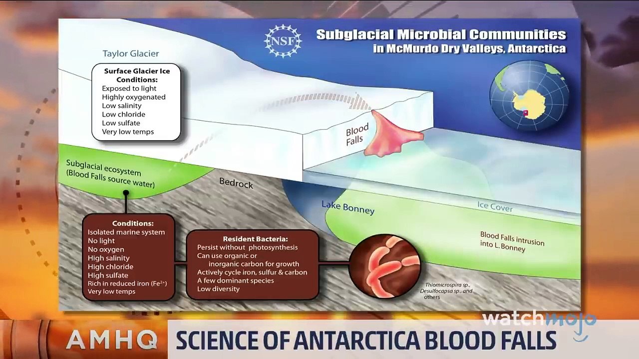 Top 20 Historical Mysteries That  Solved