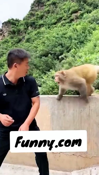 Viral Funny Video#Funny Viral clips# Funny Shorts