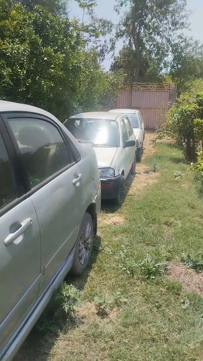 Top Family-Friendly Entertainment Ideas for Quality Time 🎉