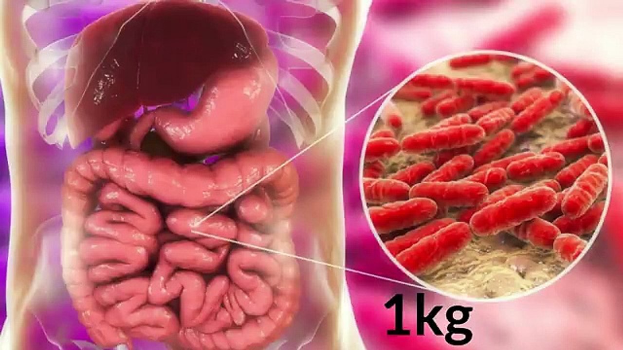 Germ Theory vs Terrain Theory
